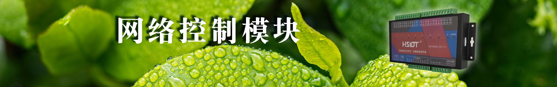 現(xiàn)代農(nóng)業(yè)物聯(lián)網(wǎng)領航者-華勝物聯(lián)網(wǎng)科技有限公司