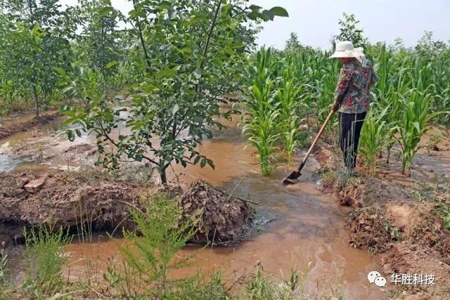 灌溉不合理造成的土壤問題及解決方案|水肥一體化灌溉