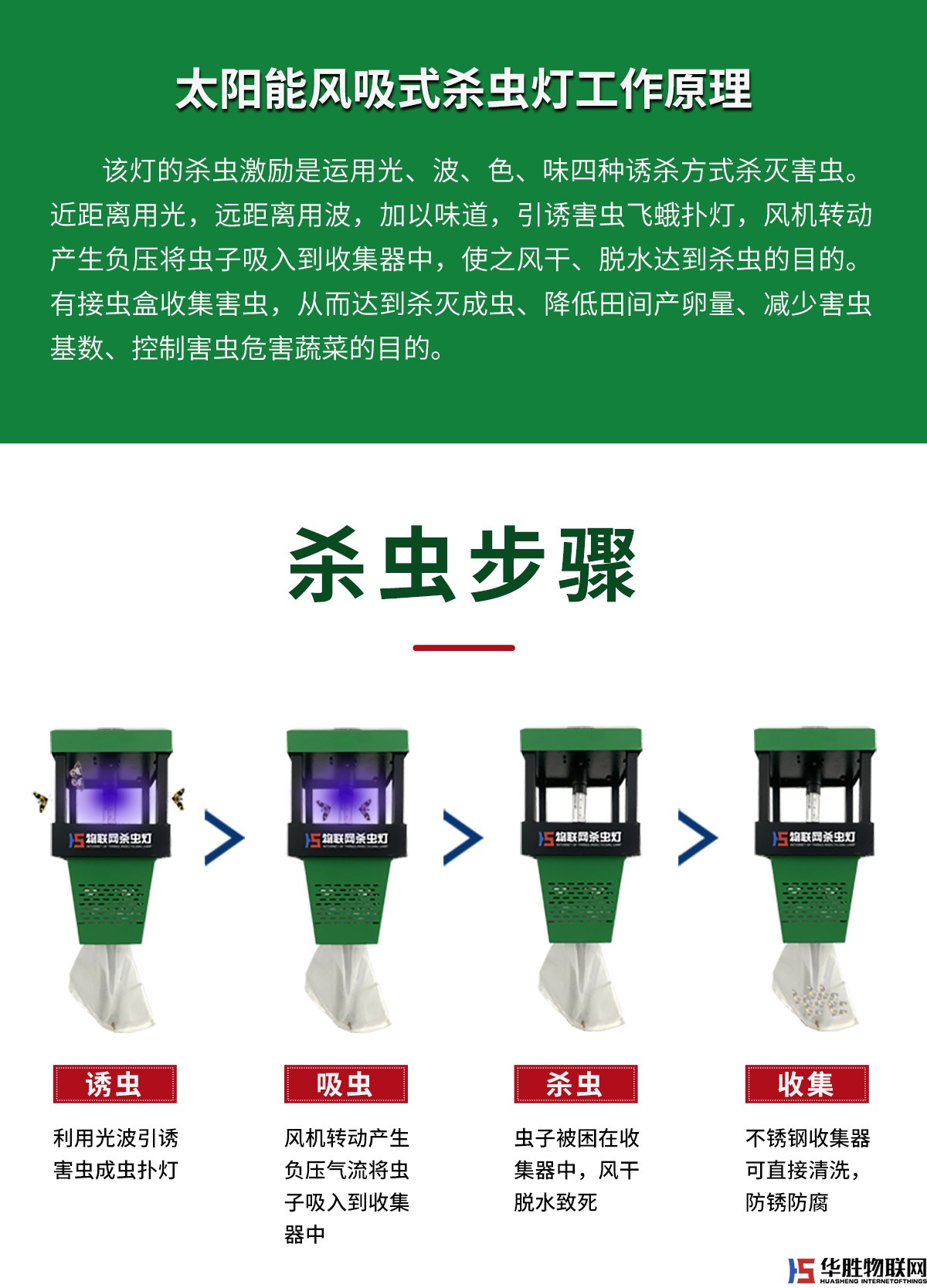 風吸式殺蟲燈