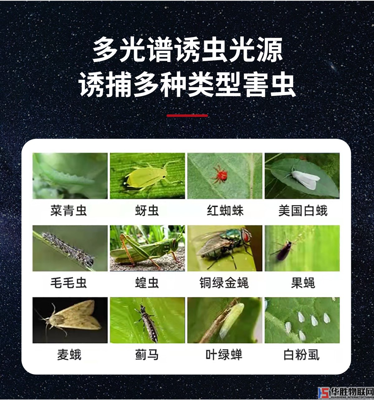 風吸式殺蟲燈